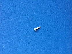 TR6 REAR LENS SCREW